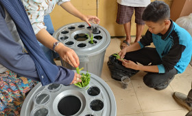 Pelatihan Budidaya Lele Tahun 2023